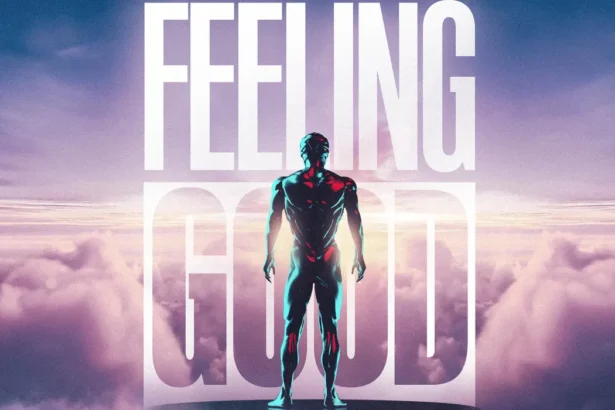 Hypaton и Дейвид Гета заедно в клубна версия на "Feeling Good"